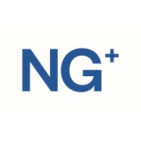 Nelson Global Logo