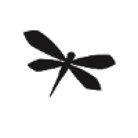 Dragonfly Motion Logo