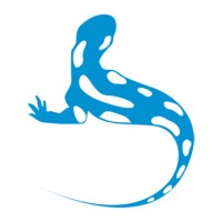 ALYATEC Logo