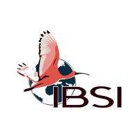 IBSI Logo