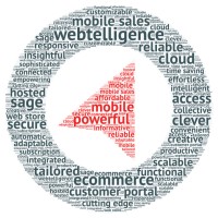 North49 Business Solutions Logo