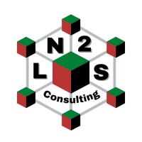 LN2S CONSULTING L.L.C. Logo