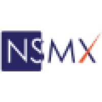 NS Matrix Services Pvt. Ltd. Logo