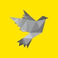 Corvidae Solutions Ltd Logo