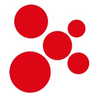 Asociación RUVID Logo