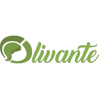 Olivante Logo