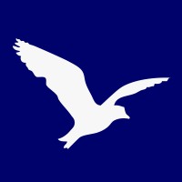 Vuelo en V | Diseño, Comunicación y Marketing Logo