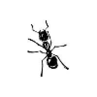 AntWorks SRL Logo