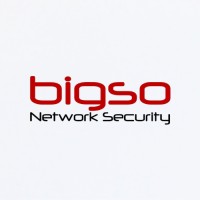BiGso Logo