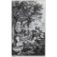 The Sustainable Design Group Logo