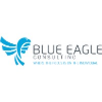 Blue Eagle Consulting, Inc Logo