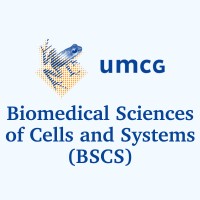 BSCS - Dept. of Biomedical Sciences of Cells and Systems @UMCG Logo