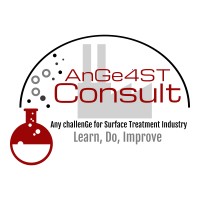 AnGe4ST Consult Logo