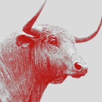Two Prime Digital Assets Logo