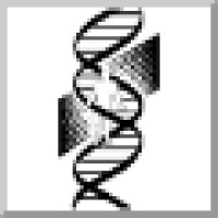 P and N Development Ventures LLC Logo