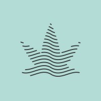 Medical Cannabis Network Logo