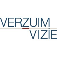 VerzuimVizie Logo