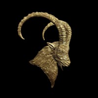IBEX Collection Logo