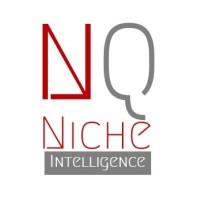 Niche Intelligence Logo