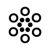 Bigo Solutions Logo