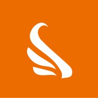Brisk Languages Logo