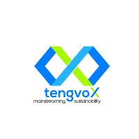 tengvoX Management Consulting Logo