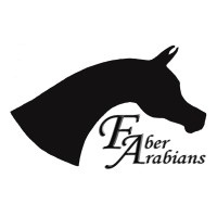 Faber Arabians Logo