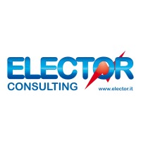 ELECTOR Consulting SRL Logo