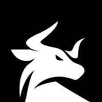 FEI Finance Logo