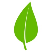 The DPF Company Logo