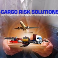 Consultoria CARGO RISK SOLUTIONS Logo