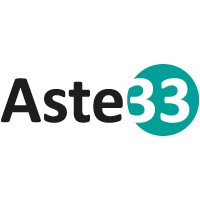 ASTE 33 S.r.l. Logo