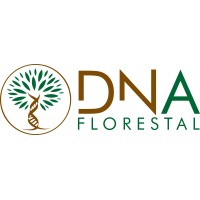 DNA Florestal Logo