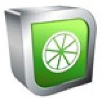 Lime Software Logo