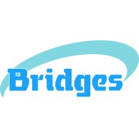 Bridges - Trusted Intelligent Engineering Partner Logo