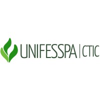 Centro de Tecnologia da Informação e Comunicação - CTIC Unifesspa Logo