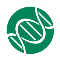 Sinsoma GmbH Logo