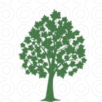Maple Tree Capital Services, LLC Logo