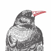 Wooyart Logo
