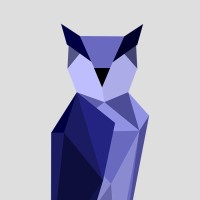 Ctowl Logo