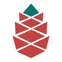 Pine Global Logo