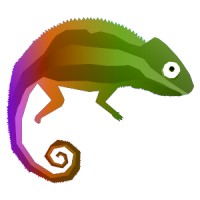 Rainbow Chameleon Corp Logo