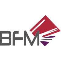 BFM FRANCE Logo