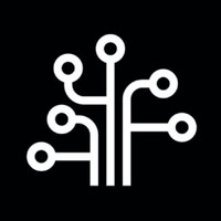 Digital Leadership Council Logo