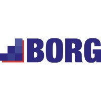 BORG FORMATION Logo