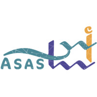 Automated Savvy Arabian Solutions IT Logo