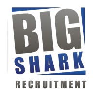 Big Shark Recruitment CC Logo