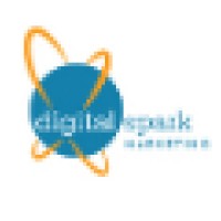 Digital Spark Marketing Logo