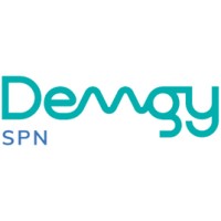 DEMGY SPN - SOCIETE DES PLASTIQUES NOBLES Logo