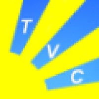 True Vision Consulting, LLC Logo